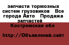 запчасти тормозных систем грузовиков - Все города Авто » Продажа запчастей   . Костромская обл.